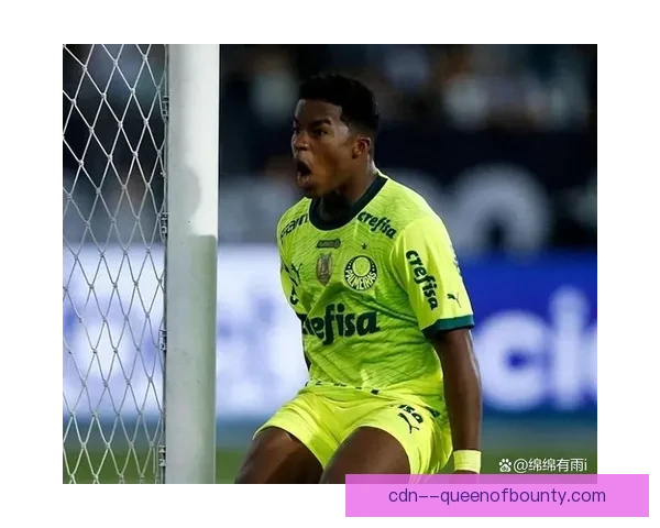 博塔弗戈巴甲比赛领先优势被逆转遗憾收场